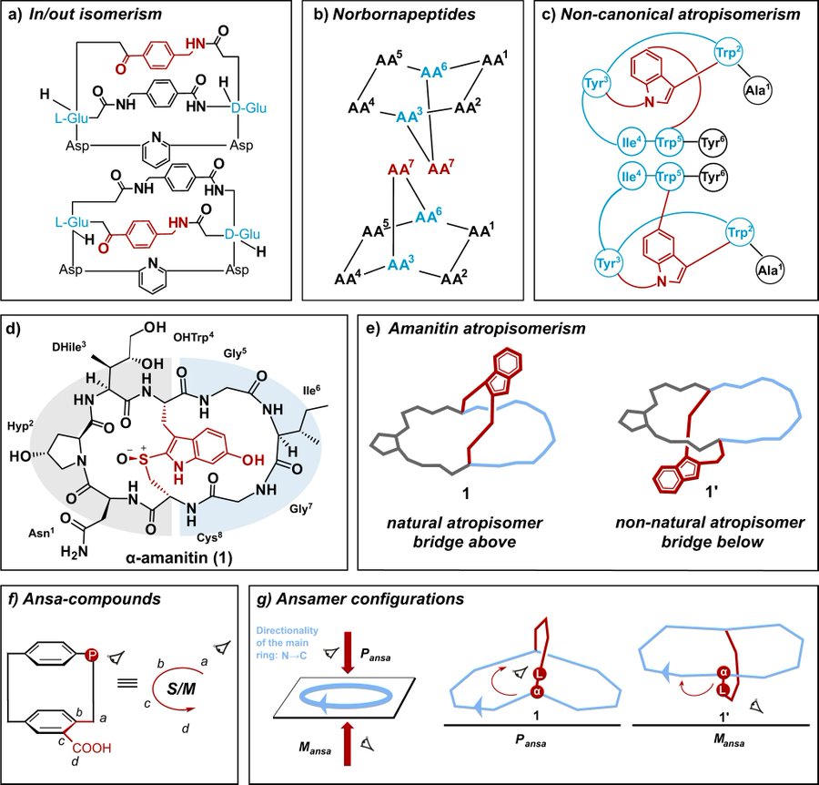 Chemistry_Net's tweet photo. The occurrence of ansamers in the synthesis of cyclic peptides

https://t.co/ryOcbr95MS

#chemistry #biochemistry #Bioinformatics #peptides https://t.co/bxYyt6jUJC