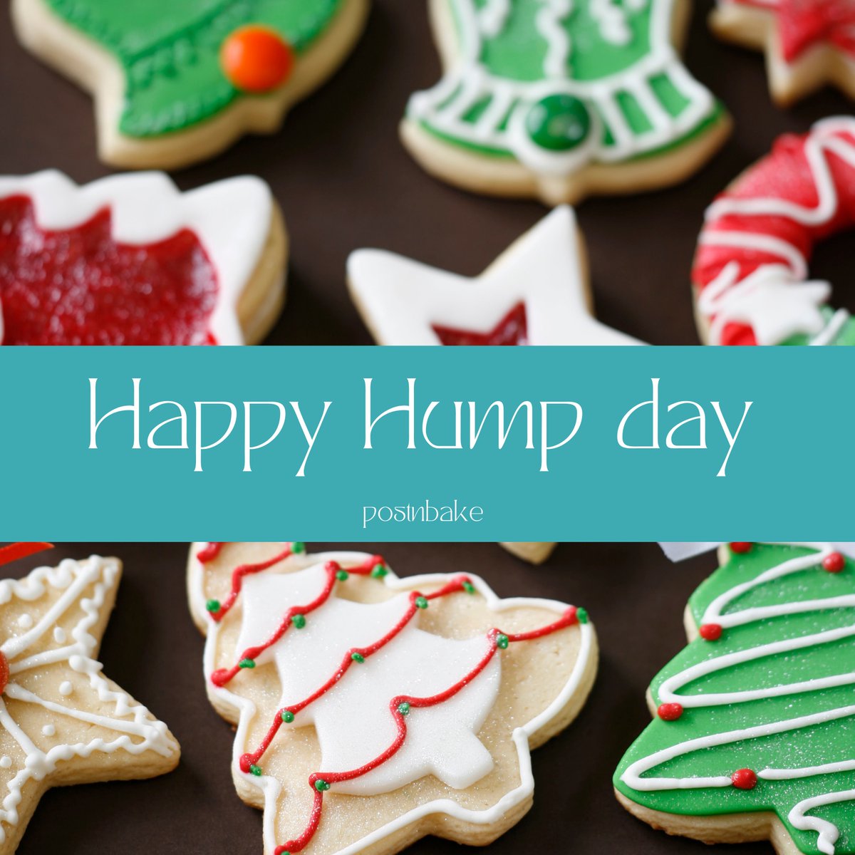 PostnBake | #sbswinners 2021 (@postnbake) on Twitter photo Happy Hump Day ๐ฅณ
We hope you have an amazing day!
#vegangifts #strictly #cardiff #potd #instabaking #blondies #tuesdayvibes #asmrfood #wales #biscoff #bakinglove #rishi #thismorning #baking #christmasbaking #chocolate #etsyselleruk #etsyshopuk #sbswinners #thetraitorsuk Happy Hump Day ๐ฅณ
We hope you have an amazing day!
#vegangifts #strictly #cardiff #potd #instabaking #blondies #tuesdayvibes #asmrfood #wales #biscoff #bakinglove #rishi #thismorning #baking #christmasbaking #chocolate #etsyselleruk #etsyshopuk #sbswinners #thetraitorsuk