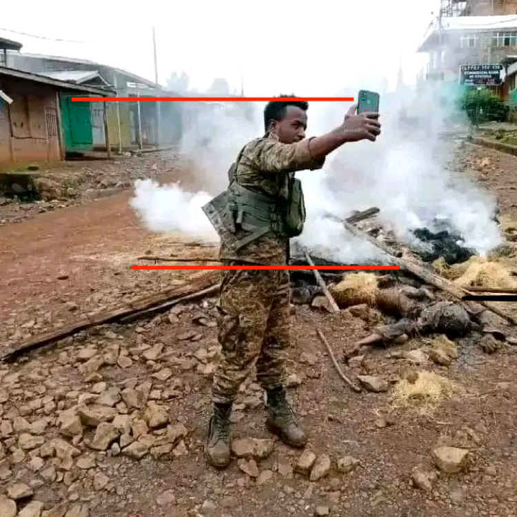 RAbdiAnalyst's tweet photo. Picture of alleged burning in Oromia inauthentic.

1. Pole cuts through figure in army uniform - not possible. 
2. Angle of selfie shot indicates object of interest most likely right behind and not the scene shown.

Almost certainly photo-shopped. https://t.co/EAX6x2wV5Q