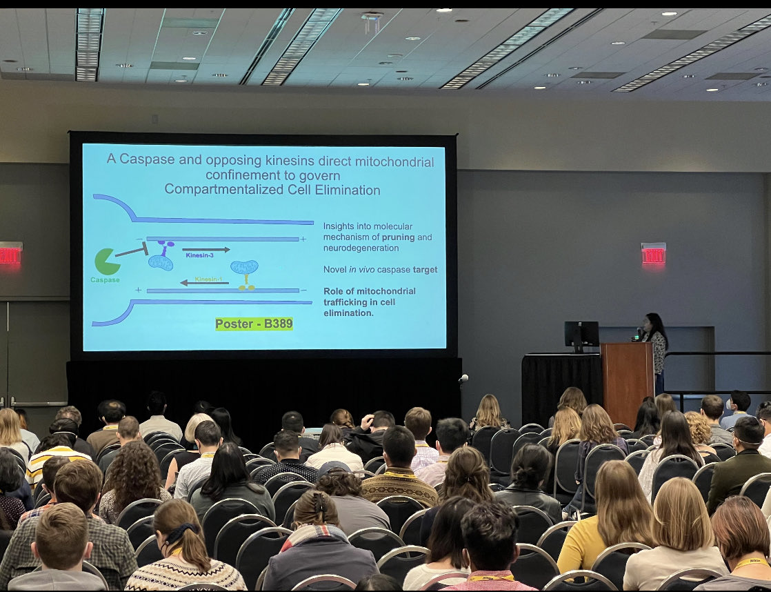 PiyaGhoseLab tweet media