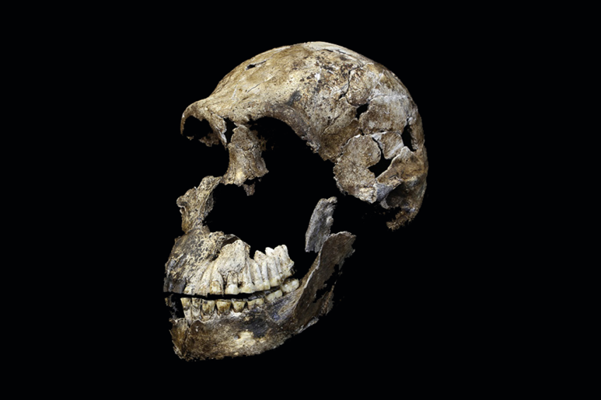 paleorocha's tweet photo. Na última quinta-feira foi revelado uma grande novidade sobre o Homo naledi, eles estavam usando fogo!
Mas quem foi o Homo naledi? Segue o fio que eu te apresento esse primo diferentão 🧵🔥 https://t.co/tYQuKHwLTA