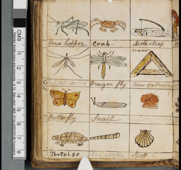 ArchivesWales's tweet photo. #EYALanguages This stunning pictorial dictionary at @NLWales contains a series of drawings to illustrate everyday words in English and Welsh. It was created by 12 year old Eliza Pughe in 1843, who was born deaf and dumb. See the full volume: https://t.co/EdMuaymnWX #YourArchive https://t.co/9sj2ocBFaW