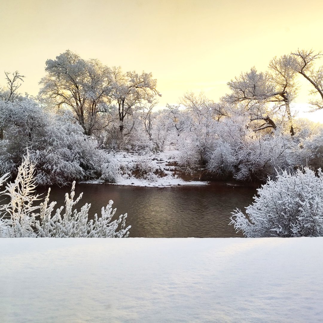 During #PolycotAssociates #retreat, they had the pleasure of waking up to a #winterwonderland! #Snow and #ice coated the #landscape making for a memorable #snowday!  

#winter#holidays#christmas#snowball#beautiful#coop#STEM#STEAM#tech#positivity#goodvibes#beauty#stunning#lovely