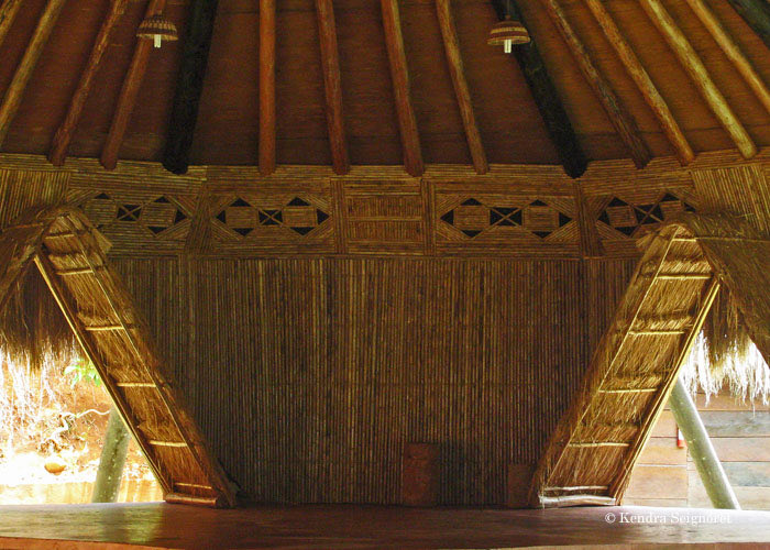 Pauline von Hellermann 🌳🌴🌹🌻🌍 tweet media