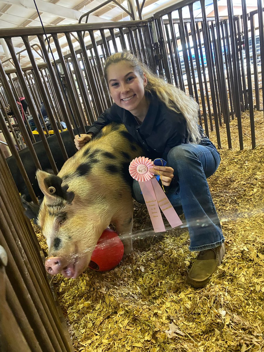 Rockvale_FFA's tweet photo. Congrats to FFA members, Ava Lagenour, Tansi Boyce, Karlee Edgens, Sam Lima, and Abbie Bowker on their success yesterday at the Rutherford Co swine show. We are so proud of you girls! https://t.co/eGwclvah6b