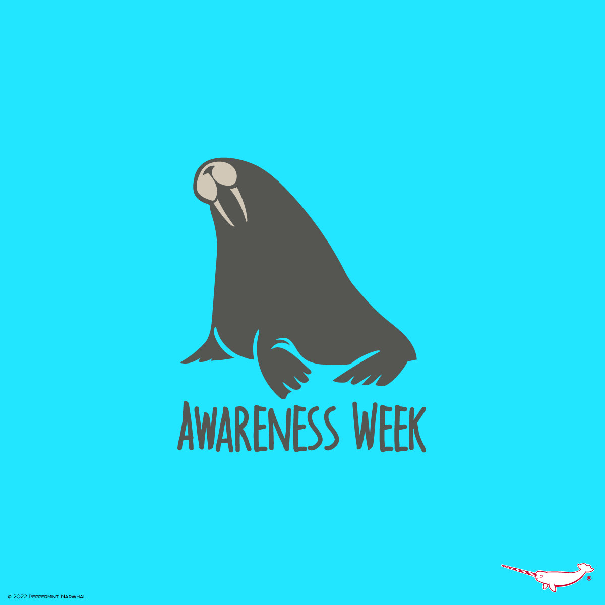 PepomintNarwhal's tweet photo. #WalrusAwarenessWeek
2023 Animal Holiday Calendar
& More Great Gift Ideas
Shop #PeppermintNarwhal at https://t.co/gqm4S4wlhV
#Walrus #WalrusWeek https://t.co/tL81gSxXBy