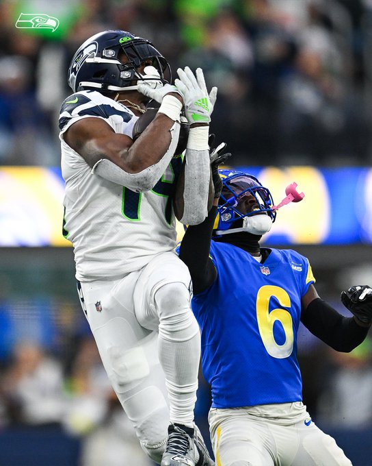 DK Metcalf making a fantastic grab.