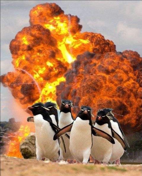 hsupdatehs's tweet image. Polska reprezentacja idaca do francuzow po faulowaniu Szczesnego #POLFRA