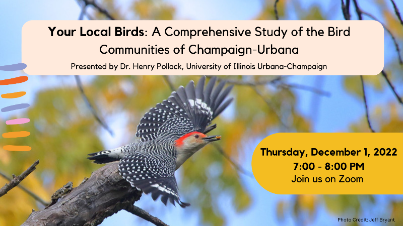 Champaign County Audubon Society tweet media