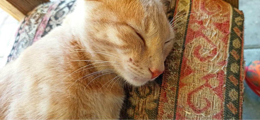 Arkadaşlığımız buraya kadarmış. Gittiğin yerde mutlu ol dostum…