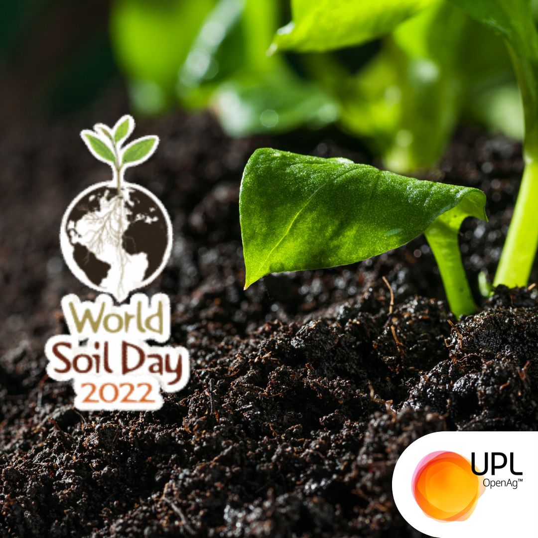 UPLAUSLtd's tweet photo. 🌱 #Healthysoils are the foundation of #foodsystems. #UPL actively supports the #futureofood & #foodsecurity. Soil restoration & preservation can ensure plentiful #crops & nutritious food for generations to come.
#UPL #OpenAg #WorldSoilDay #soils4nutrition https://t.co/f2IrPDXh8R