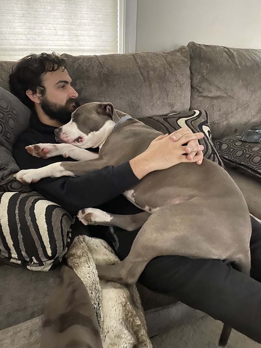 MaybeScott_TV's tweet photo. When she wants a nap she gets a nap https://t.co/XCMAqrDJOS