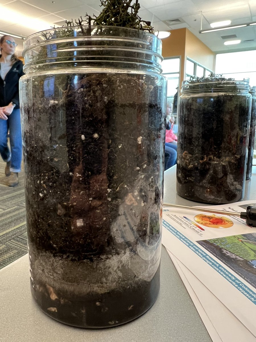 Marisa Repasch tweet media