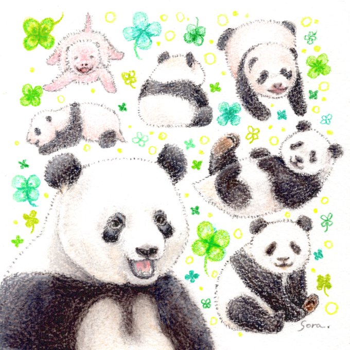 上野動物園 のイラスト マンガ コスプレ モデル作品 246 件 Twoucan 上野動物園 のイラスト マンガ コスプレ モデル作品 246 件 Twoucan