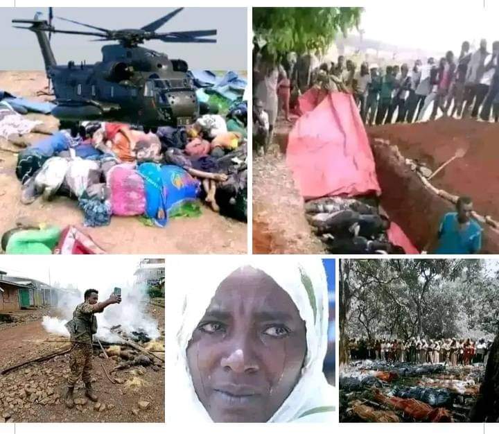DhiirooGarbii's tweet photo. Oromo Genocide! Why is everyone Silent!? - black and white?! https://t.co/HydJRJSuXx