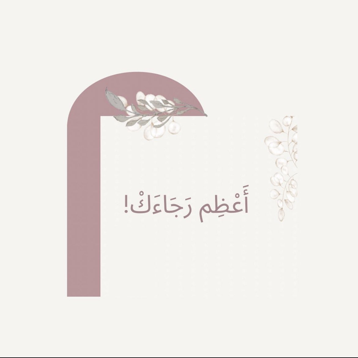 law7ahlove1's tweet photo. رابط الأبيات على اليوتيوب 
أداء: الشيخ راشد الحليبة
مونتاج: @sakhaa1414 

https://t.co/jvNwpJH0UI https://t.co/LQyy1APLTF