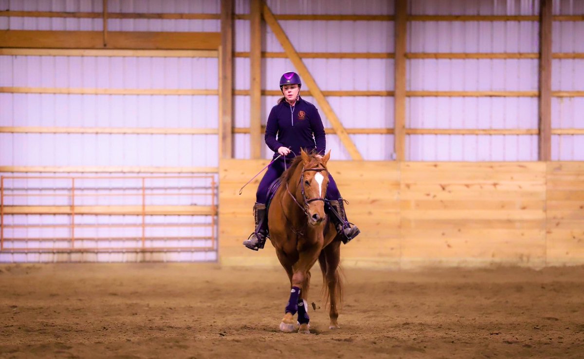 RVTEquestrian's tweet photo. A lil fancy footwork for our leg day!💚 https://t.co/HHS8hCWqxm