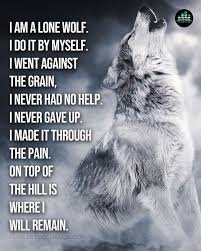 If you have a dream in your life you can reach it don't let noone bring you down 👇 only person that can give you your dreams is yourself with hard work and a never give up attitude Be a lone 🐺 stand your ground on the hill top cuz your worth it #TeamGodvek #TeamWolfSideTv