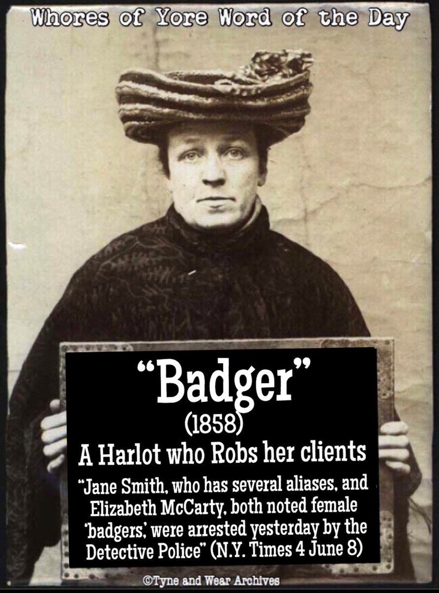 Whores Of Yore On Twitter Word Of The Day Badger how-to-pronounce-badger-american-english-youtube