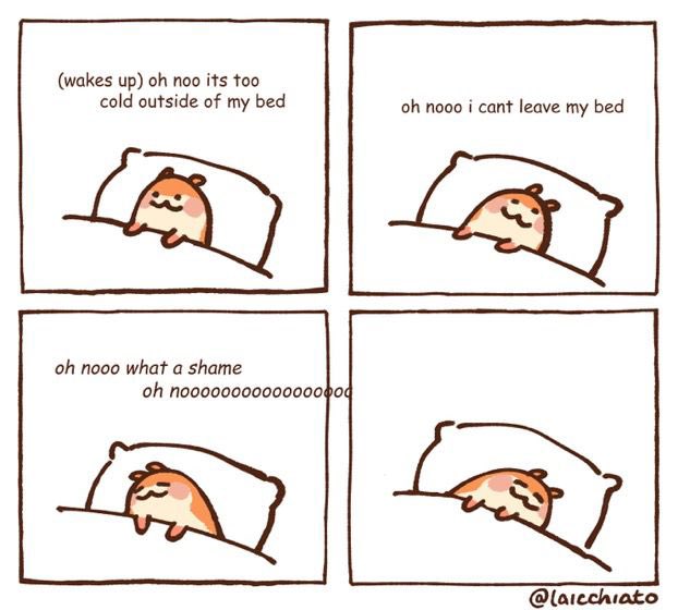 Me tomorrow morning…