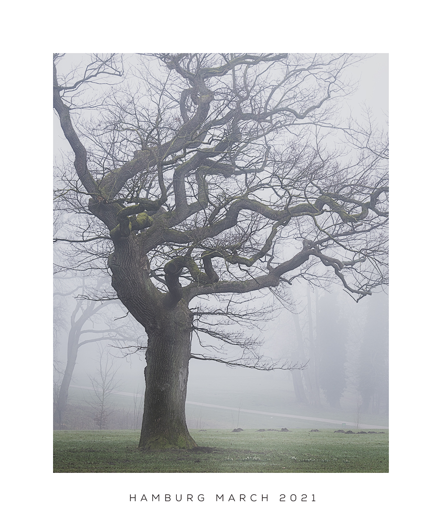 Thomasdphoto's tweet photo. I took this image; a year and a half ago; in the same park in Hamburg as the last posted pictures. https://t.co/ebjrYPJ7Mf