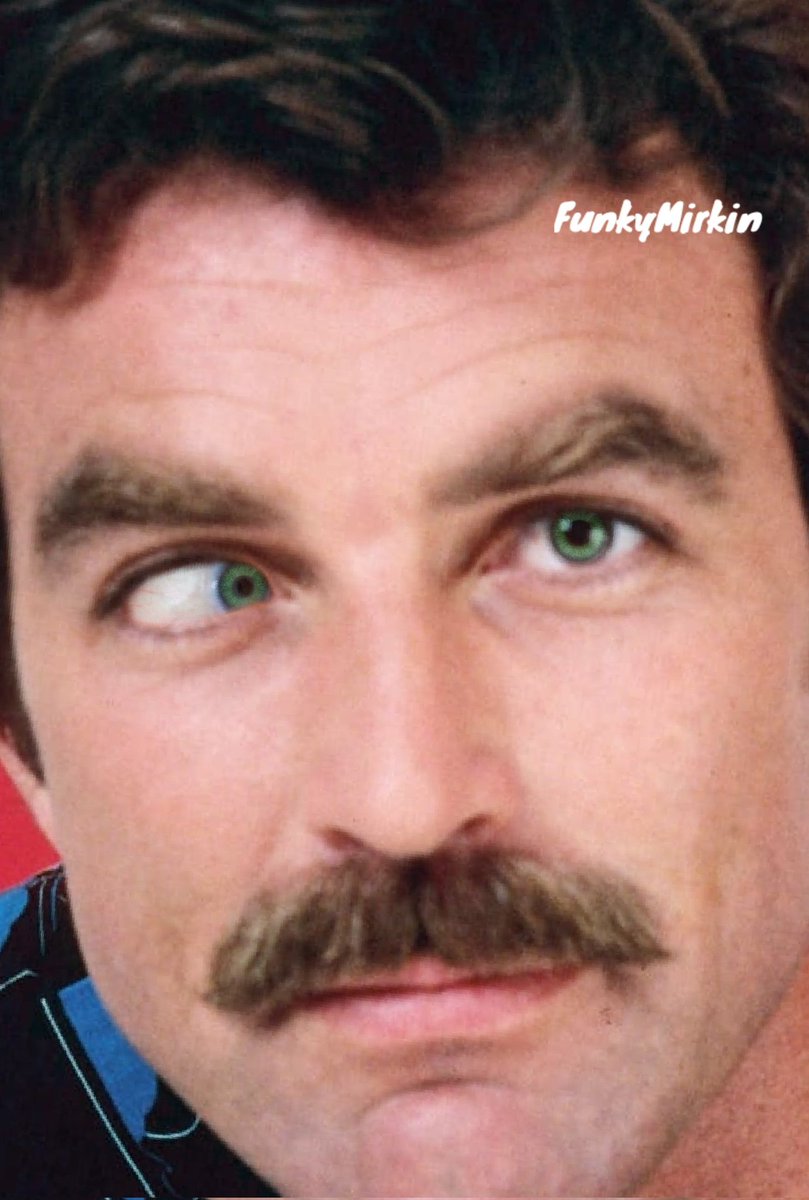 I was in hysterics when I finished making this one. Magnum Boss Eye #Photoshop #PhotoVandal #FunkyMirkin #TomSelleck #MagnumPI