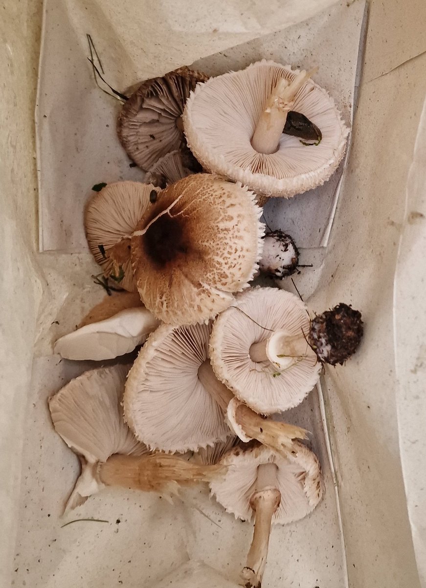 From ReInvent to here 💕🌱🍁