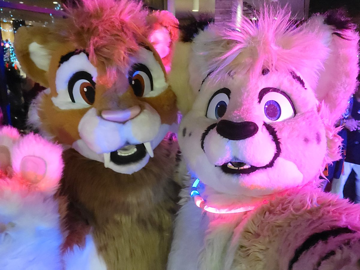 Cats look better when it looks like they're running from the cops. #FurFest