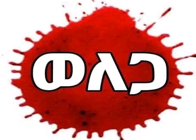 8030Selwi's tweet photo. #STOP_WALAGA_MASSACRE https://t.co/qLvzMlrwfB