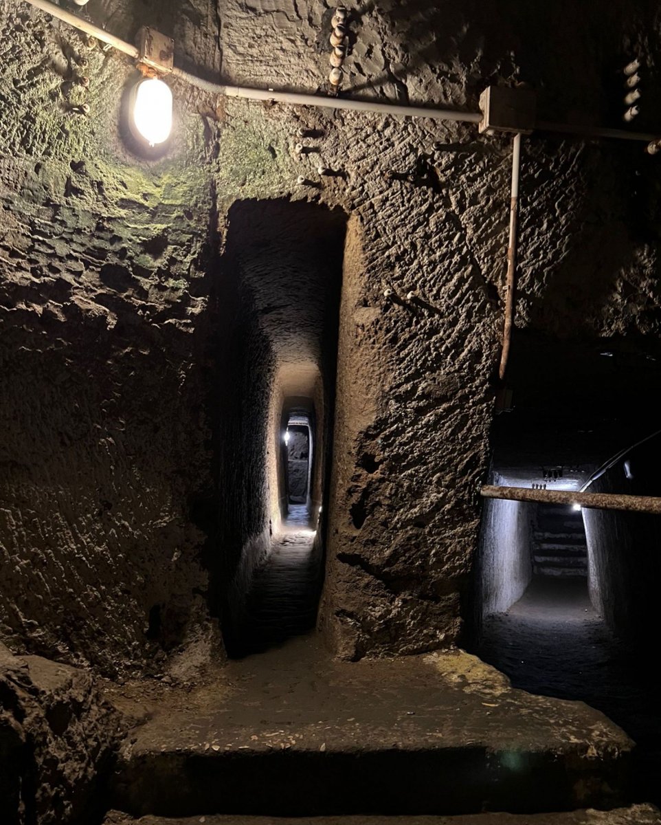 ItalyProGuide's tweet photo. Napoli Sotterranea è ricca di Storie, curiosità e segreti da scoprire!
Cerca una Guida a Napoli⬇️⬇️⬇️
https://t.co/sCG5ta47Vq
#napolisotterranea #napoli #italia #underground #naples #segreti #secrets #italy #guidaturistica #italyproguide https://t.co/5T1dhGHHQA