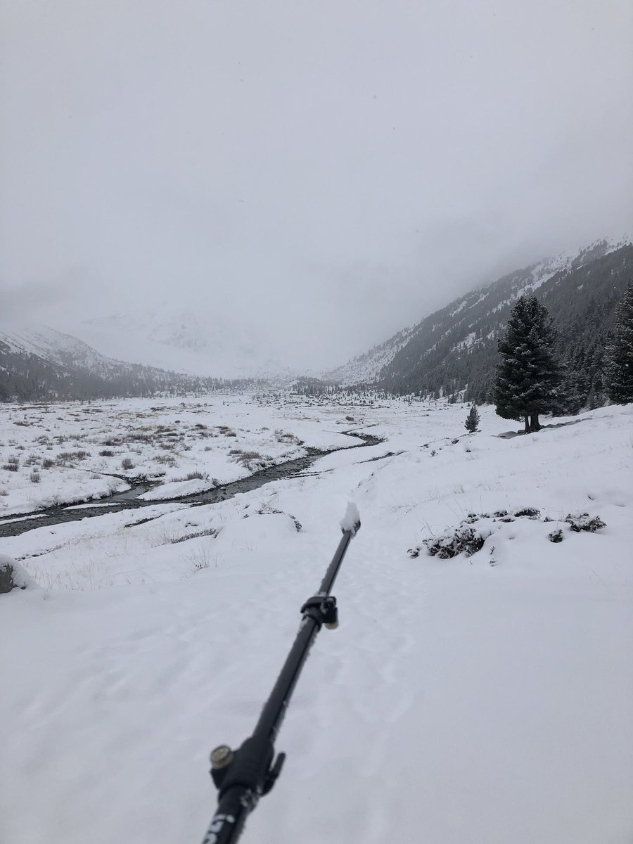 shimmyingaround's tweet photo. A monochrome of a weekend (minus the signs!) 🏔🖤🤍 🇨🇭#50shadesofgrey #ValRoseg #chapter40begins https://t.co/yZQsjtjSR5