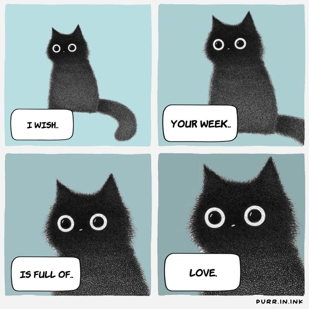 purrinink's tweet photo. https://t.co/50Q79uIJCv