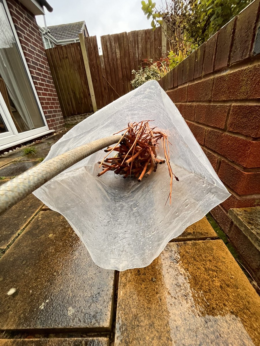 kerry_truman's tweet image. the #NTUmakers in me never really switches off.. even on a Sunday in the pouring rain I can be found outside prepping up a batch of buff willow ready for a session with @NTUadbe visitors tomorrow.. it’s going to be another wreath making adventure..!? #MakingStuff #NTUcommunity 😀