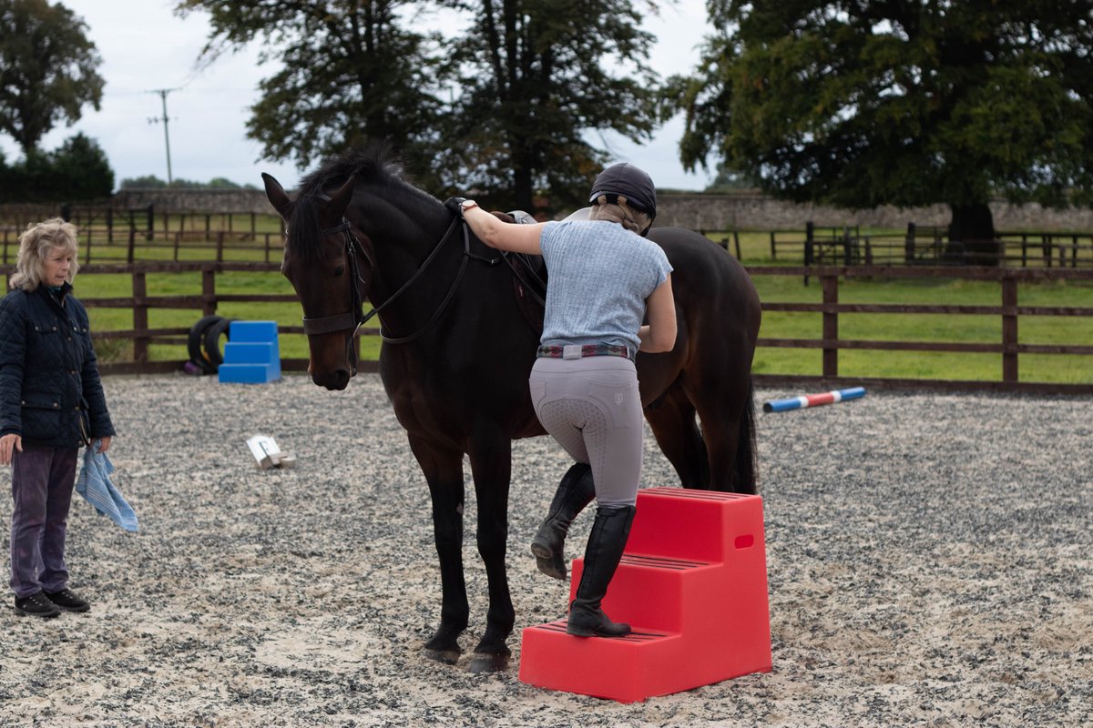 JSWHorseboxes's tweet image. Looking for Christmas Inspiration? 🎄 We can help you there! 🎁 Check out these products and jumps and dont forget our team are on hand