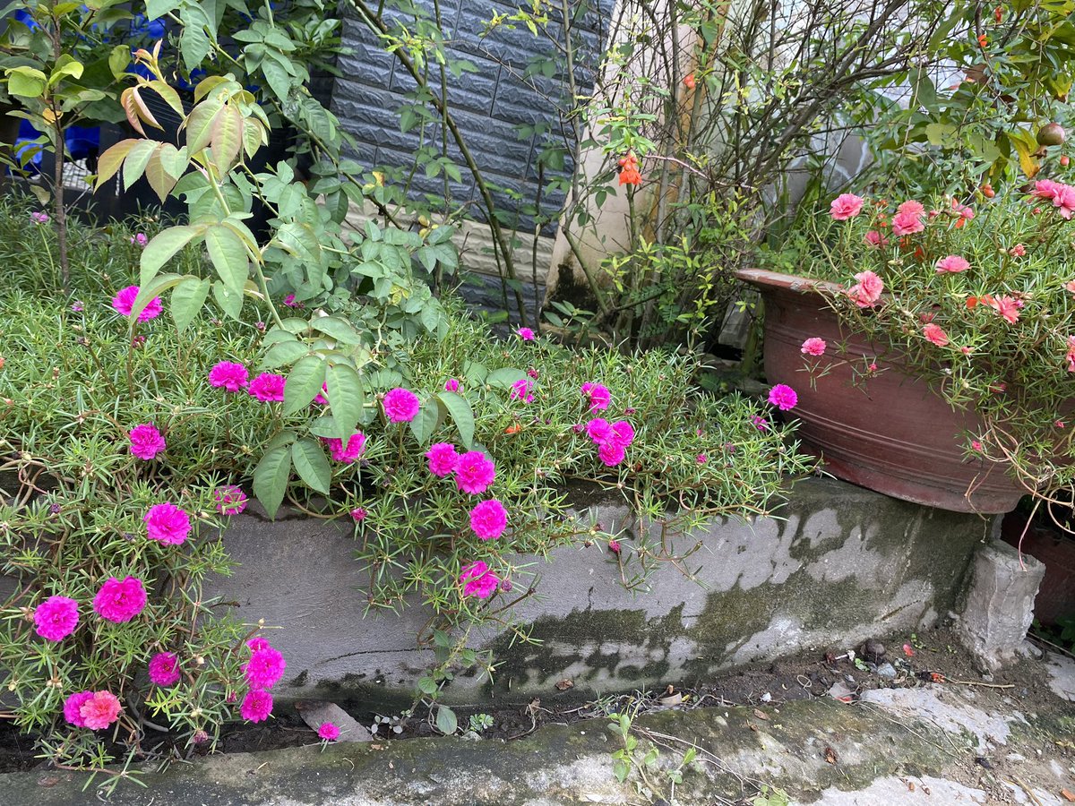 HonestMuonly's tweet image. Opportunity is always knocking. The problem is that most people have the self-doubt station in their heads turned up way too loud to hear it