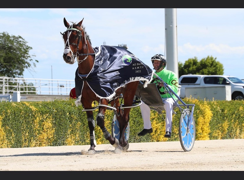 AllStarsRacing_'s tweet photo. Words really don’t do justice with how PROUD we are as a team,

5 Groups 1s -
Millwood Nike
High Energy
Don’t Stop Dreaming (First 5)
Akuta
No Matter What

🔵 Congratulations to our Junior @OliviaThornley2 on clinching her first Group 1, a wonderful moment!

📸 Akuta (HRNZ) https://t.co/j33MT2H2UW