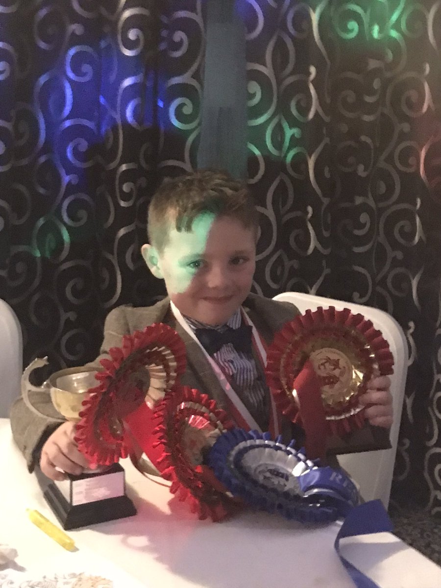 DianeHu87898966's tweet photo. Harry bringing home the trophies last night 3x champion in workers and showing #workinghunter #Jumping @Sed_Equestrian https://t.co/vwfWj3UPLH