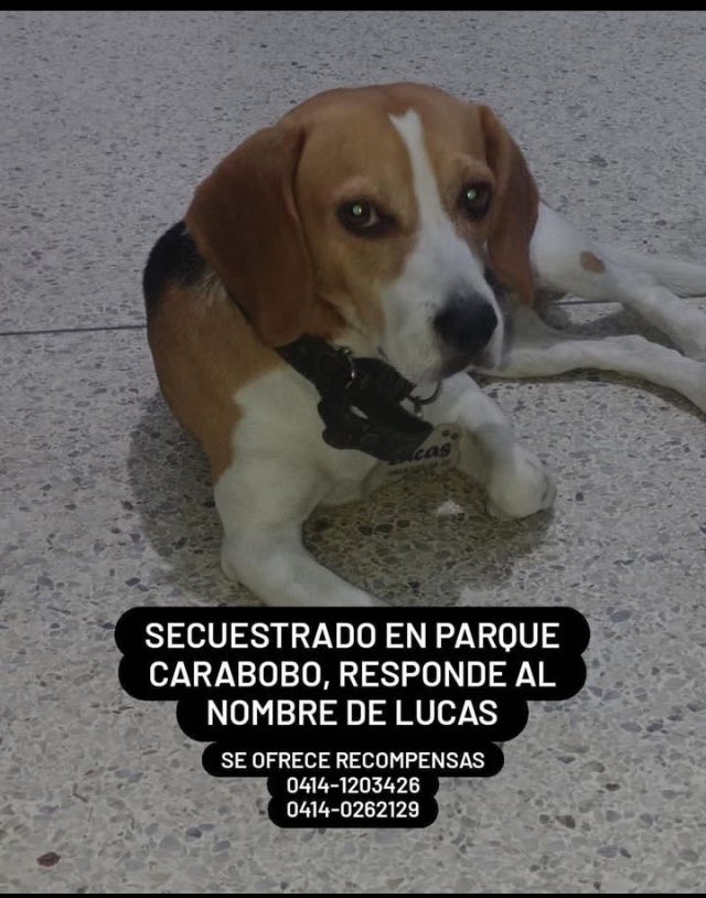 casandratr's tweet image. 