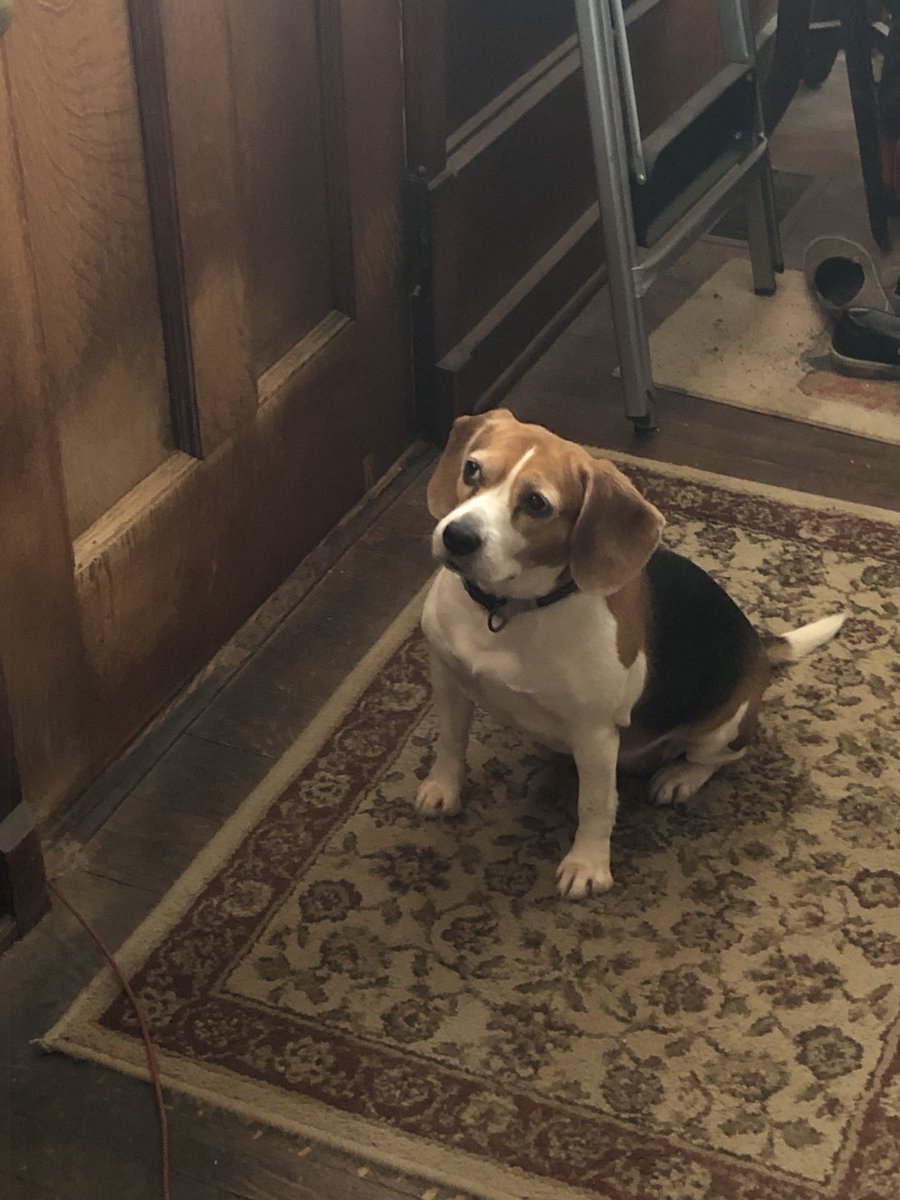 Violet wondering if that door will ever open