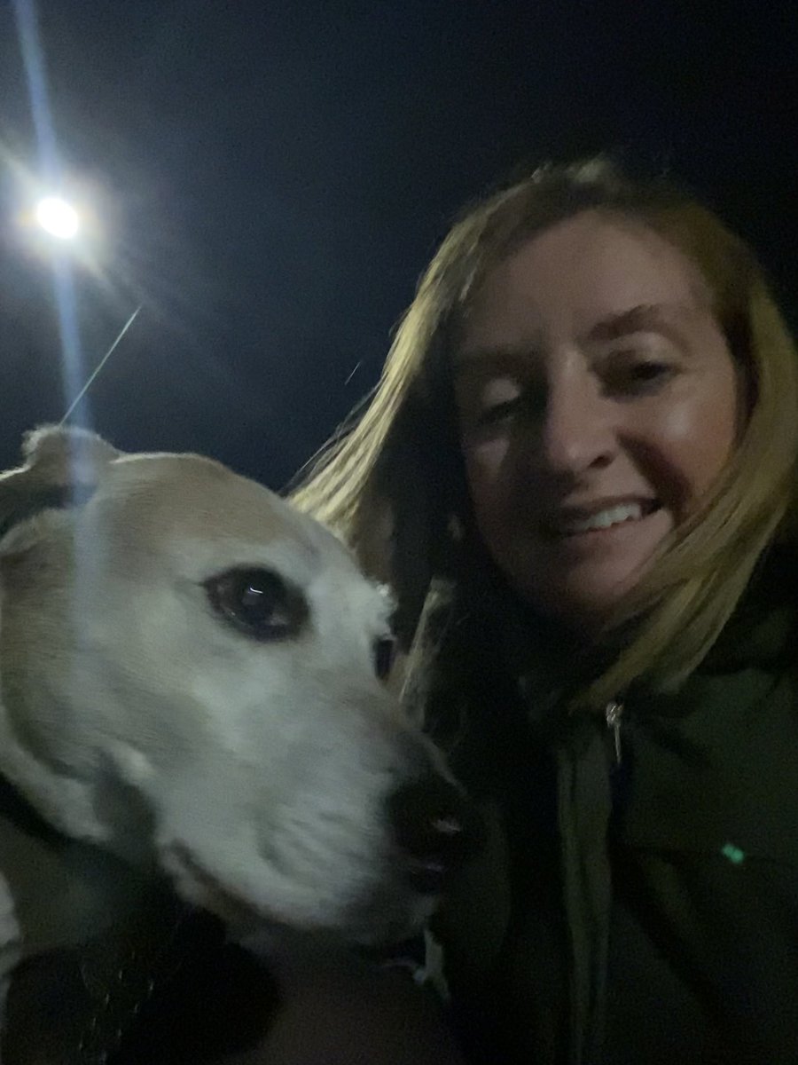 While most of the country watch #WorldCup2022 and #EnglandTeam  I thought I’d take the dog out… he was not impressed!  🙈⚽️