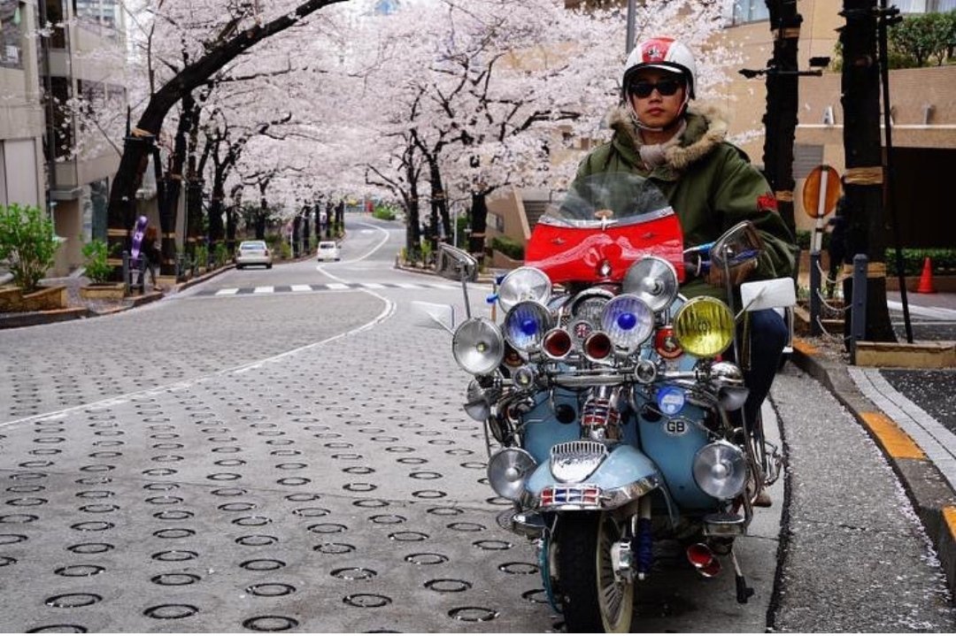 FishtailM's tweet image. Wow! 😍😎