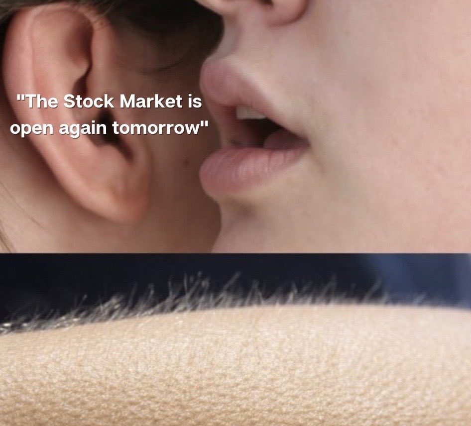 Lae_Adalid's tweet photo. Domingo de #Memes 

¿Cuantos están así ?
#TRMX #TradingJournalMX https://t.co/3dPH7EBRK2