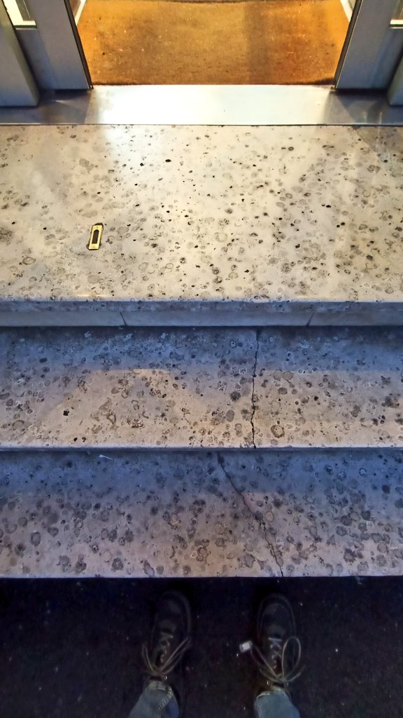 Il negozio <a href="/upimstore/">Upim</a> a #Trieste vi accoglie con un favoloso mosaico di fossili a uno dei suoi ingressi. 
Guardate bene: