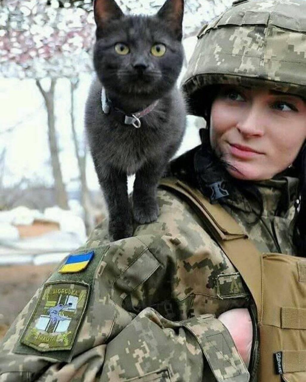 oikos-on-twitter-kiraincongress-nice-cat-one-question-why-ukraine