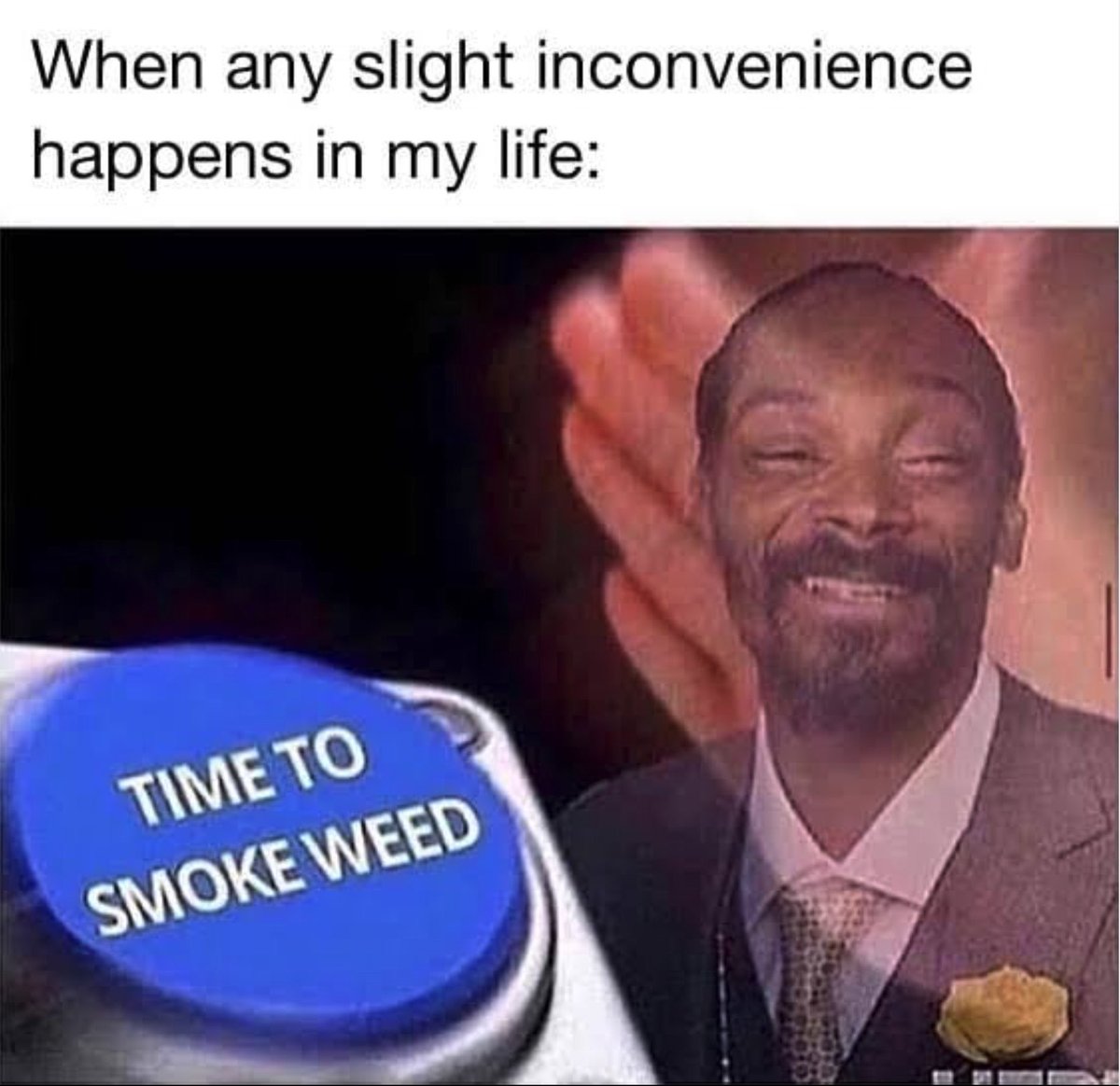 L8_AF's tweet image. It’s true.