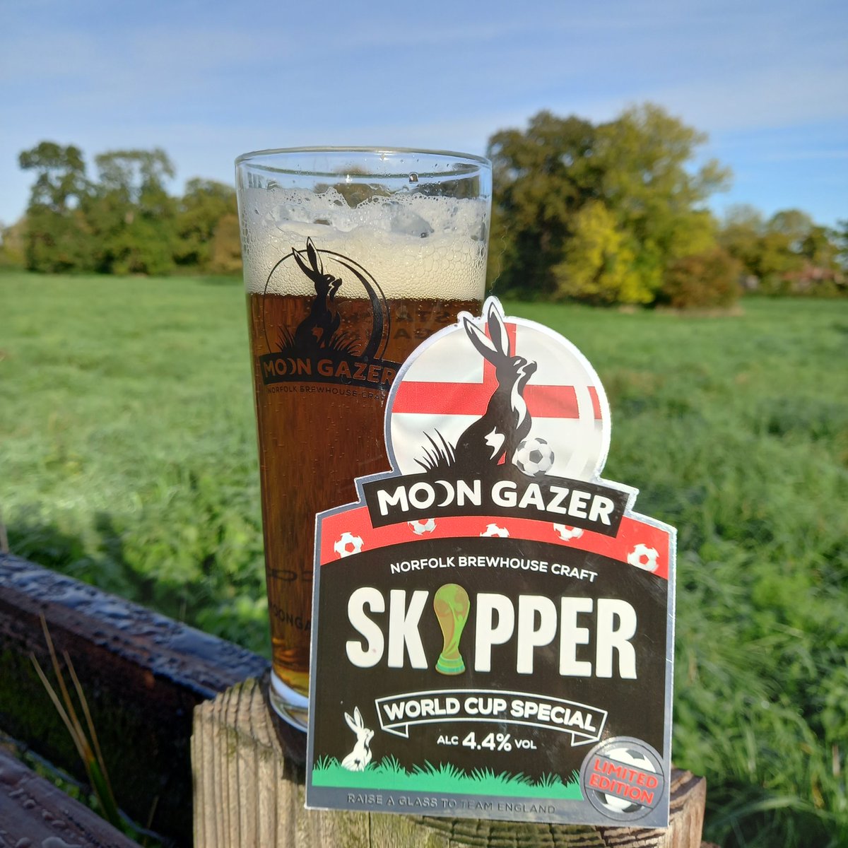 moongazerale's tweet photo. Just saying pubs...book your delivery 🏴 #ENGSEN #engfrn https://t.co/GhQ1EGvKht