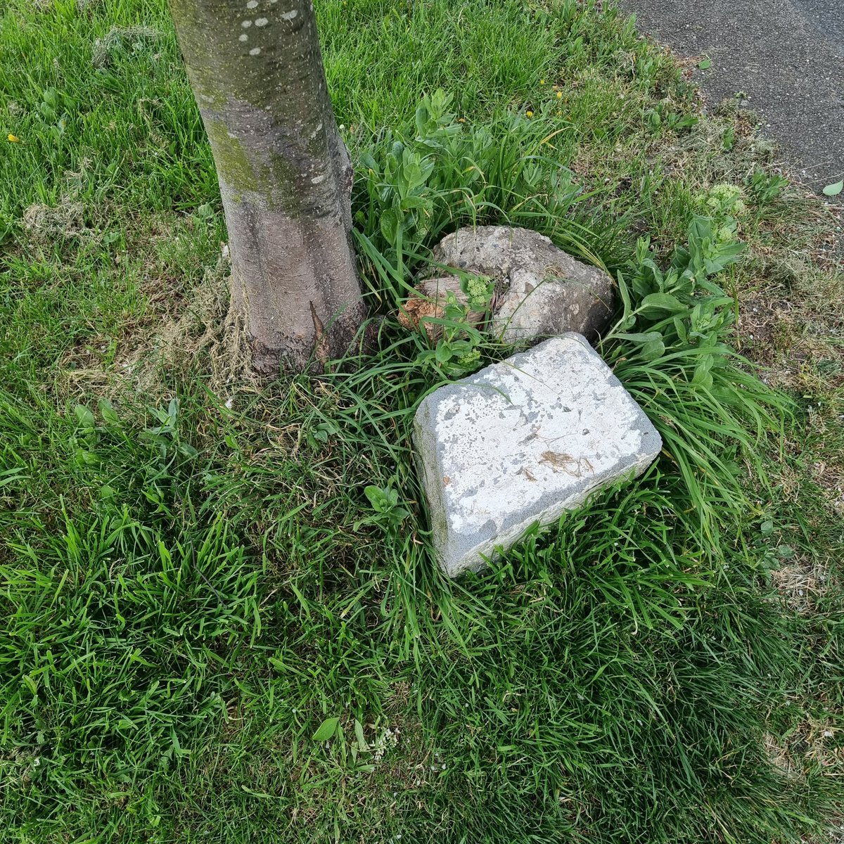 pippamaslin's tweet photo. Anyone else in Merton find that @fixmystreet only sometimes results in action from @VeoliaUK? Pic 1 - 4th Jan. Pic 2 - 19th April. Pic 3 - 29th November. Reported so many times, I've lost count! #StHelierWard https://t.co/5sOAPkPGfe