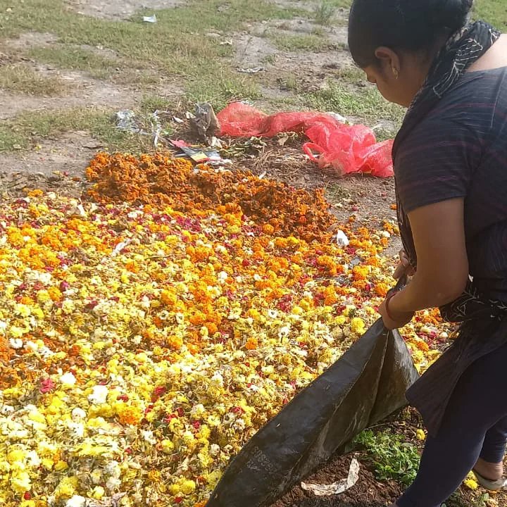 greencomrades's tweet photo. #flowerpollution is often overlooked while crafting policies towards cleaning the river. Floral waste, reportedly, accounts for 16 per cent of the total river pollutant.@Greenwaveses @OURVMC
@swachhbharat
#makethatchange #cleantemplecleannation #nofloralfoam #celebrateresponsibly https://t.co/Ds96dq8gJO