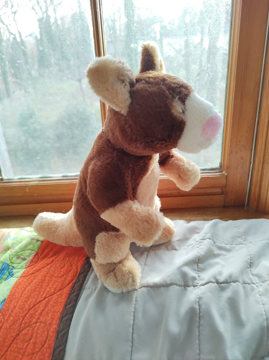 YoteNotes's tweet image. I found a geroo at the thrift store! @Gre7gL