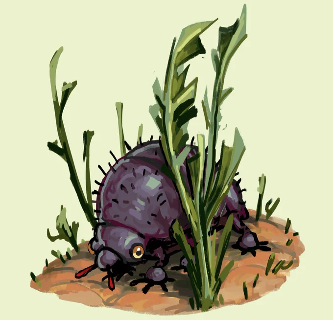 bug-likes and their habitats 
